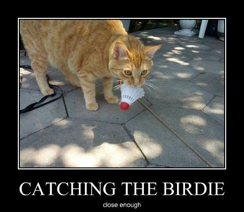 demotivational-posters-catching-the-birdie